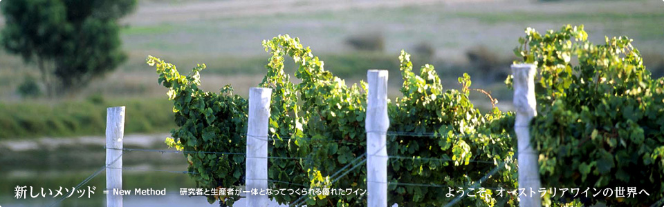 新しいメソッド＝New Method 研究者と生産者が一体となってつくられる優れたワイン。ようこそオーストラリアワインの世界へ